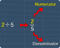 fraction's numerator and denominator